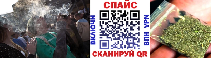 OMG ONION  Пушкино  БУТИРАТ буратино 