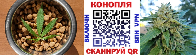 где купить наркоту  Пушкино  Canna-Cookies марихуана 