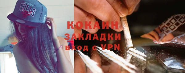 СК Алексин