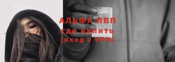 СК Алексин