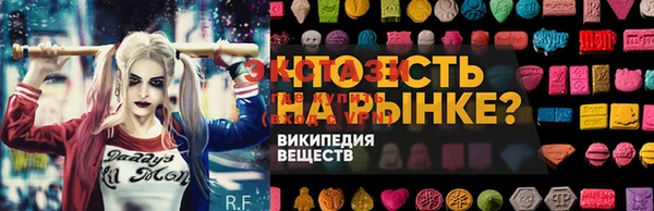 СК Алексин